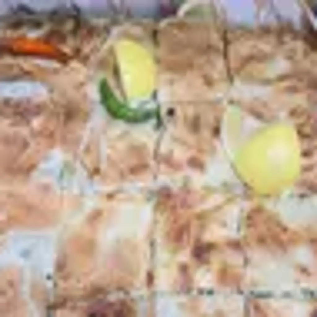 Two Cheese & Vegetable Mutabbaq