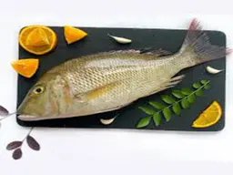 Emperor Fish