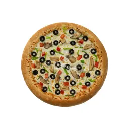 Vegetable Pizza