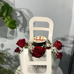 شنطة الكيك 1