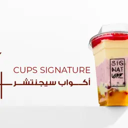 ٤ أكواب سيجنتشر