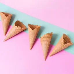 Waffle Biscuit