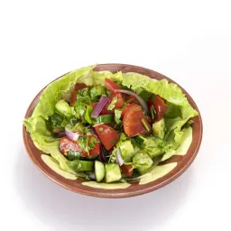 سلطة عربية
