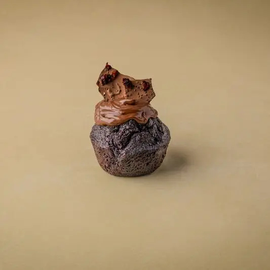 Chocolate Muffin