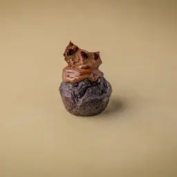 Chocolate Muffin