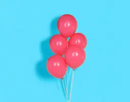 Five Fuchsia Helium Balloons 0178