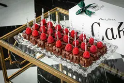 Chocolate Mousse Cake Bites - Large