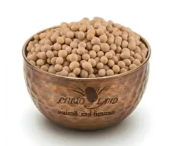 Raw Soybeans R93