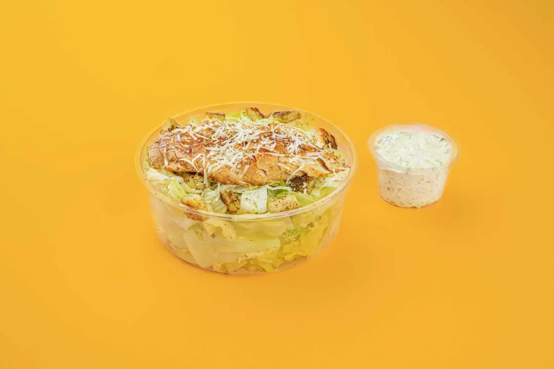 Chicken Caesar Salad