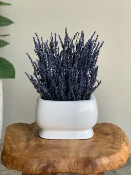 Lavender vase B
