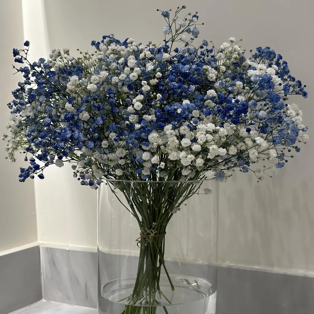 Crescent Vase