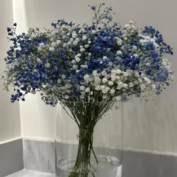 Crescent Vase