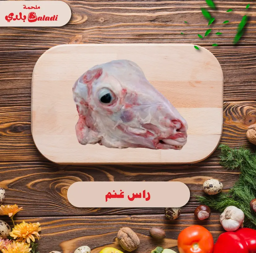 Sheep head