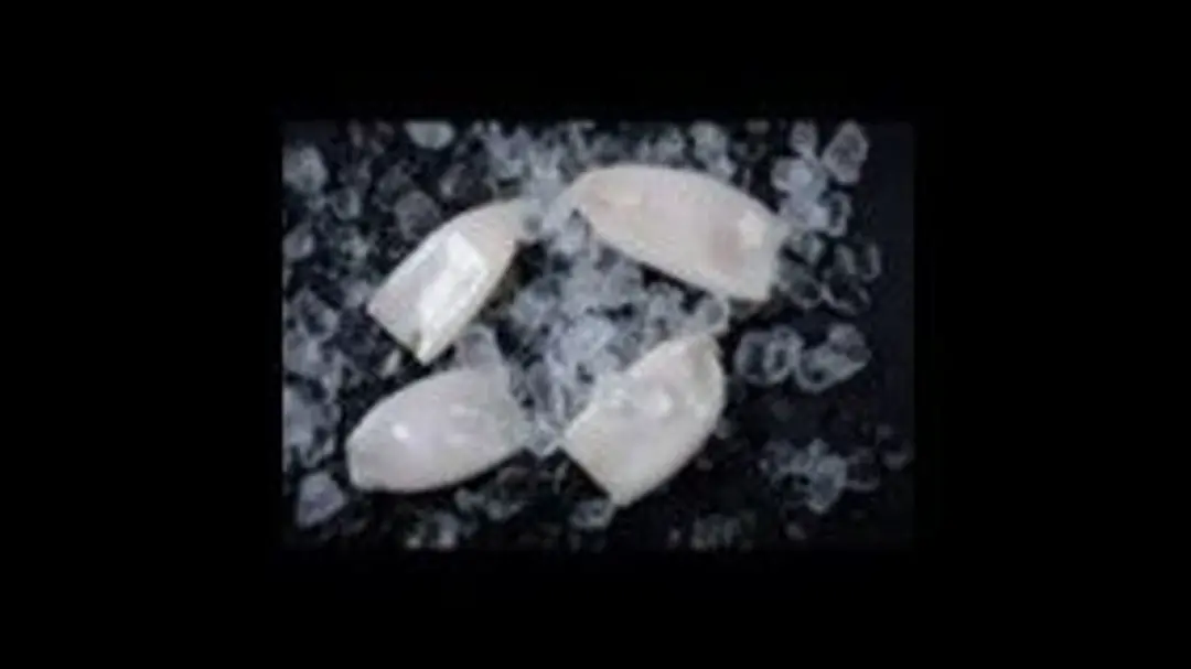 Calamari Grilled