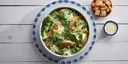 Chicken Caesar Salad
