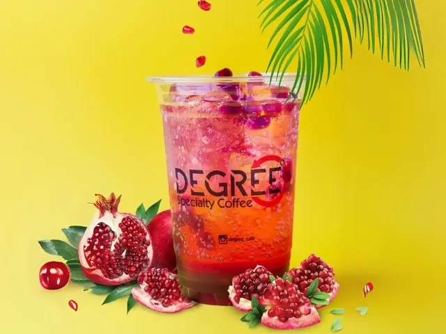 Pomegranate Mojito