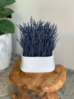 Lavender vase A