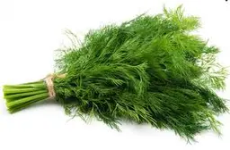 Dill