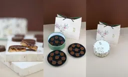 فانسي دولشي