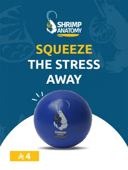 Stress Ball