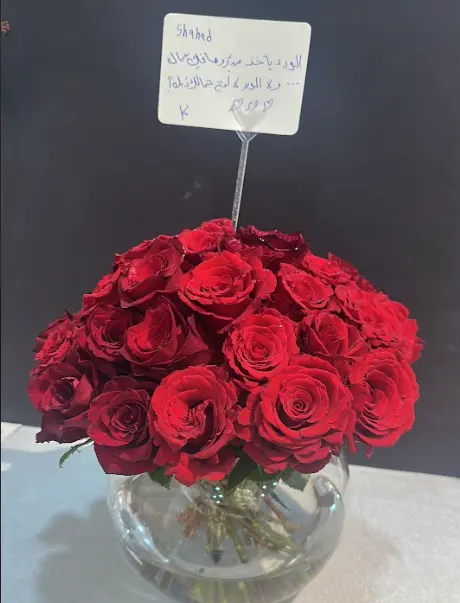 زياره حبيبي