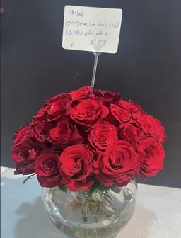 زياره حبيبي