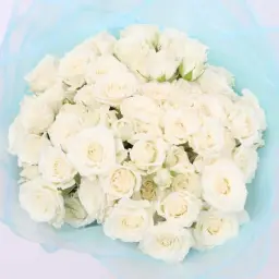 ايه 17