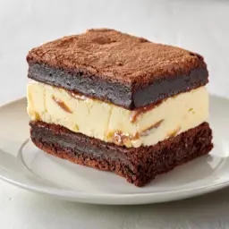 Brownie Ice Cream Sandwich