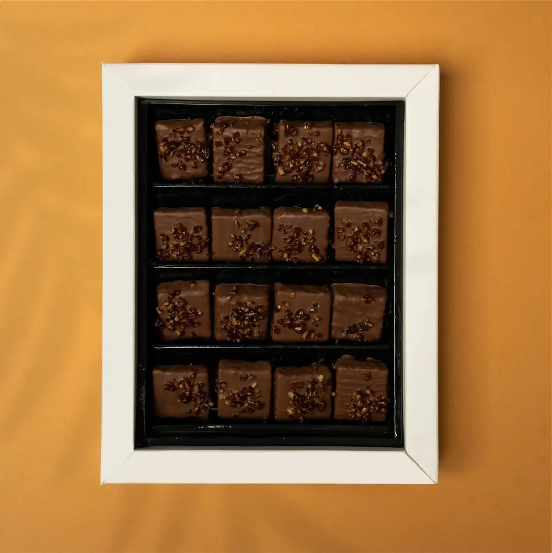 crunchy chocolate - small