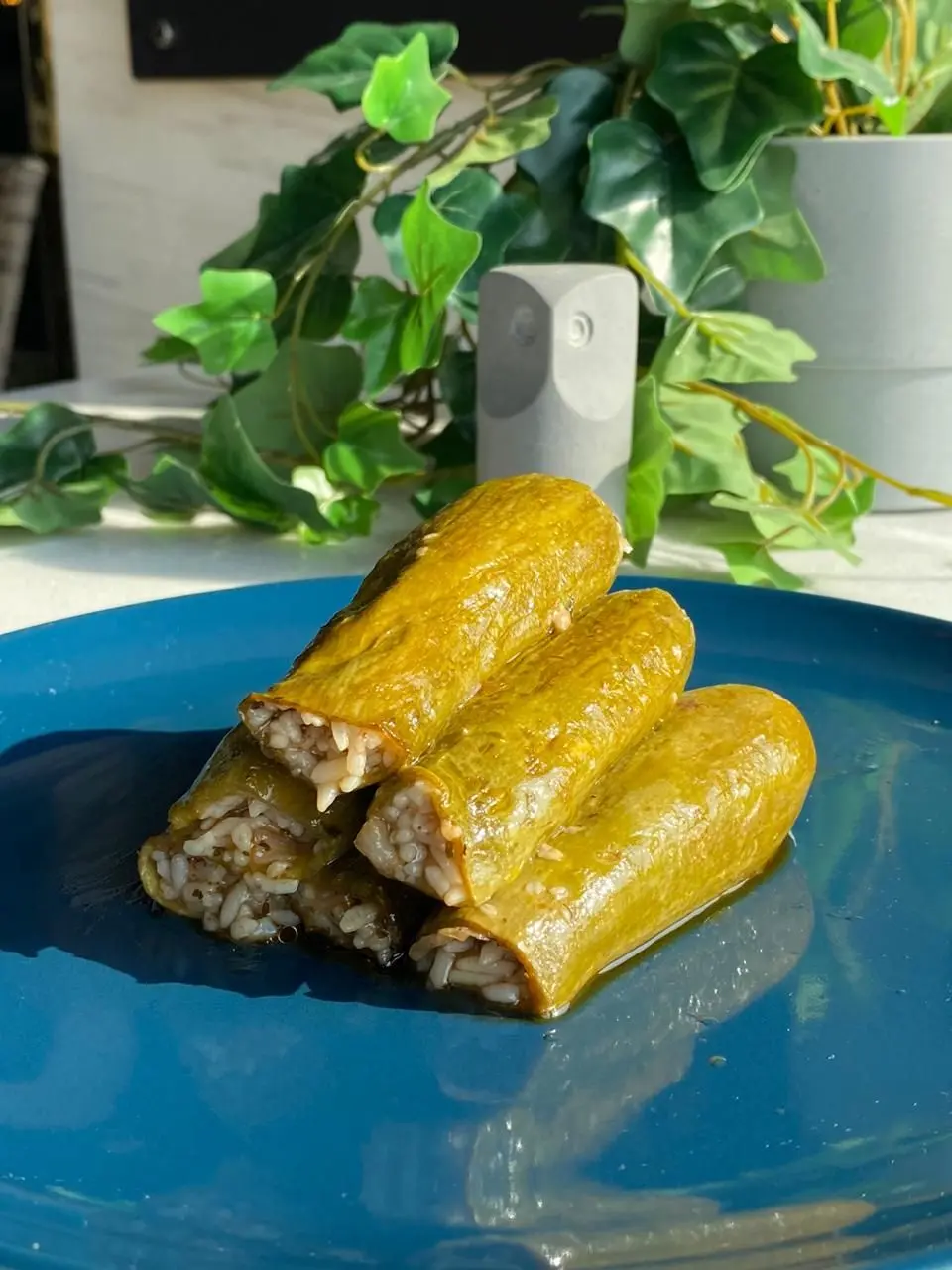 محشي كوسة