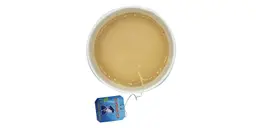 Tea Milk