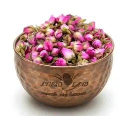 Mohammadi Rose R232