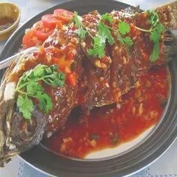 Grouper with Spicy Sauce