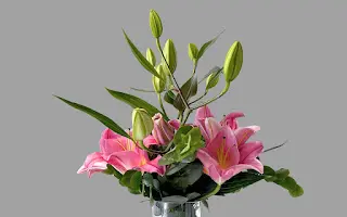 Lilies Vase