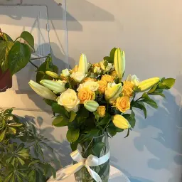 فازة ورد