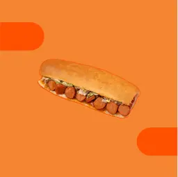 نقانق