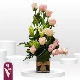 فازة كازا روز