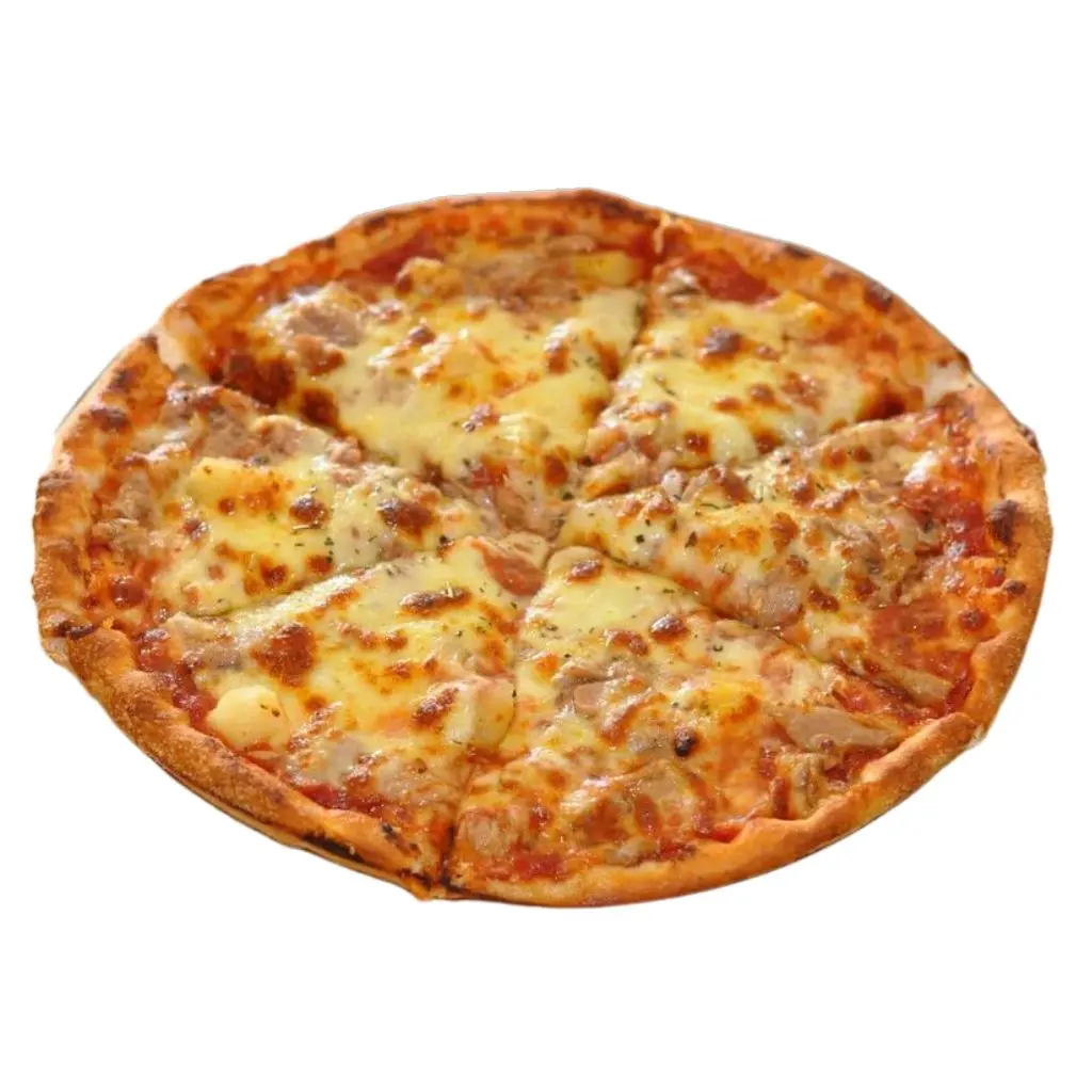 Tuna Pizza