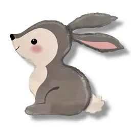 أرنب