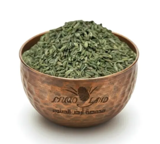 Fennel Seed R55