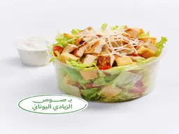 سلطة سيزر