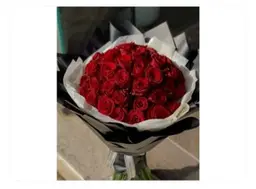 منيو ريد