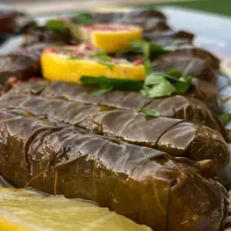 مكس ورق عنب و محشي