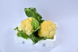 زهره فلين صغير