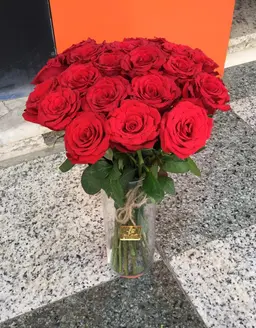 فازه 20 جوري
