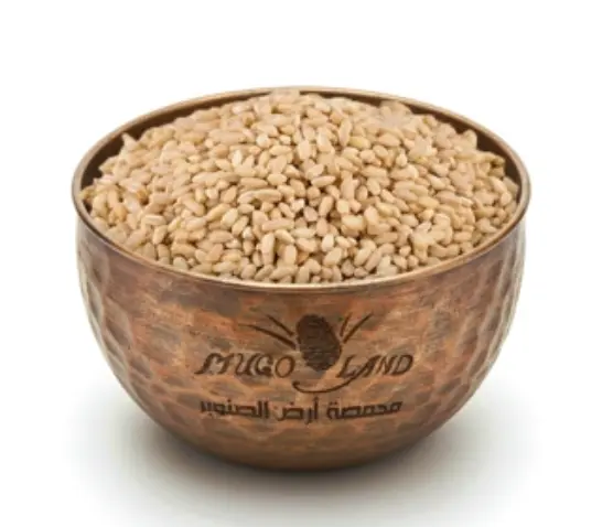 Puree R108