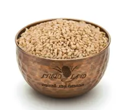 Puree R108