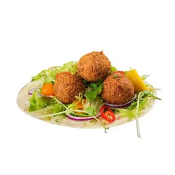 Falafel Plate
