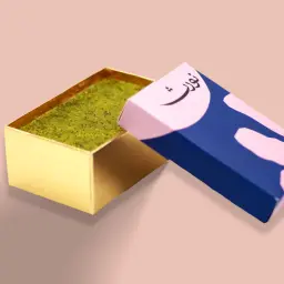 نورث بلوك بيستاشيو