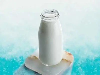 Fresh Yoghurt